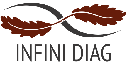 INFINI DIAG